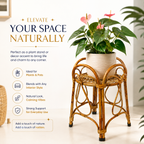 Handcrafted Rattan Plant Stand