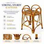 Handcrafted Rattan Plant Stand