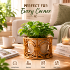 Rattan Planter Basket