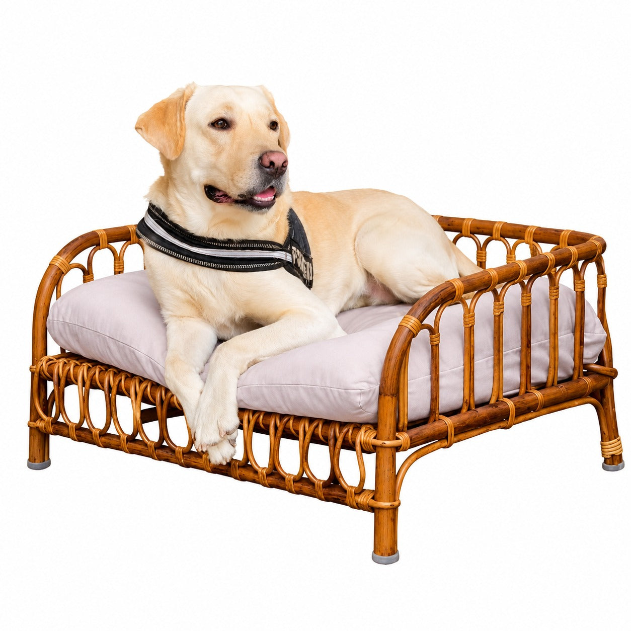 Rattan pet bed without cushion