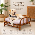 Rattan pet bed without cushion