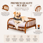 Rattan pet bed without cushion